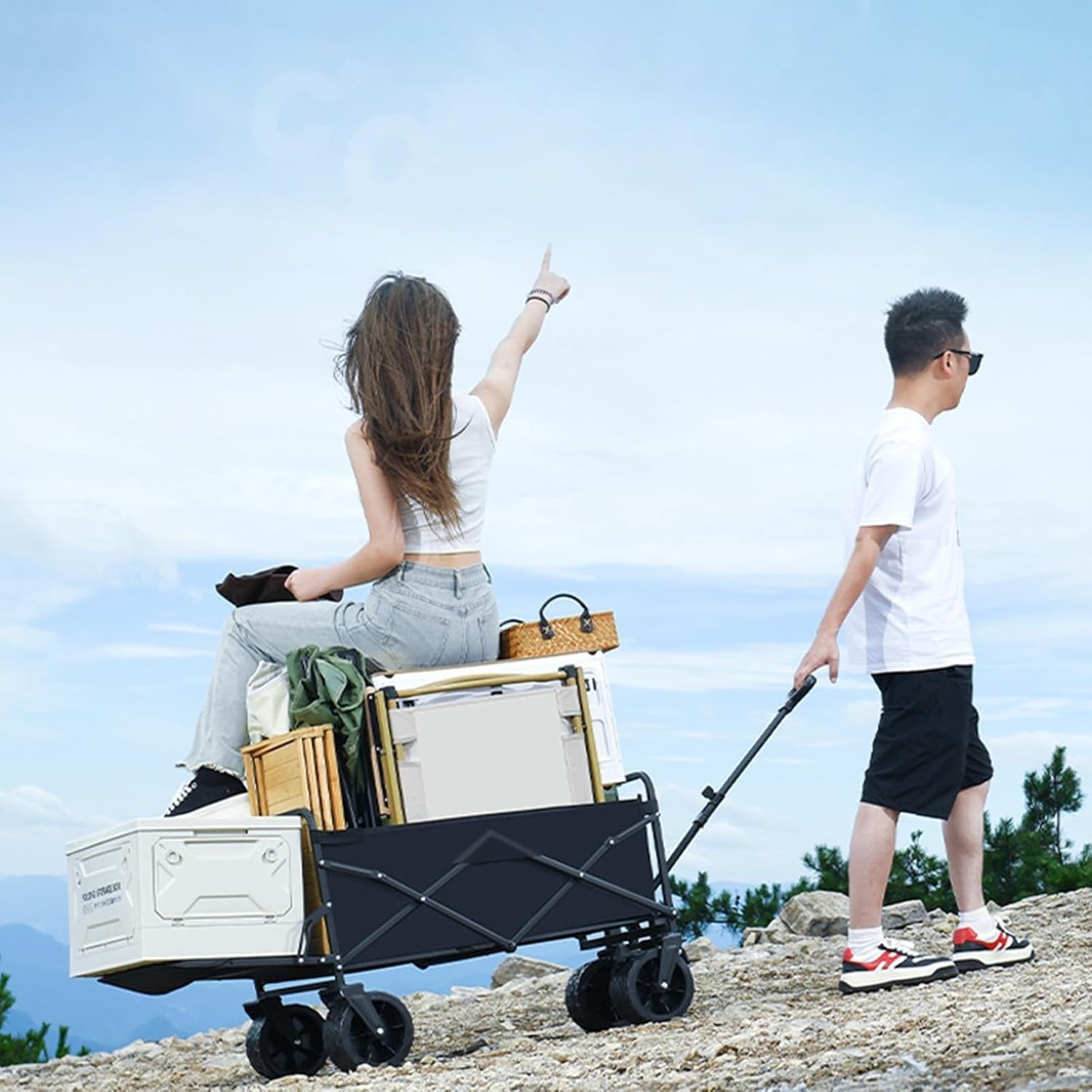 Black 100L Folding Festival Trolley Heavy Duty Camping Beach Wagon 330lbs