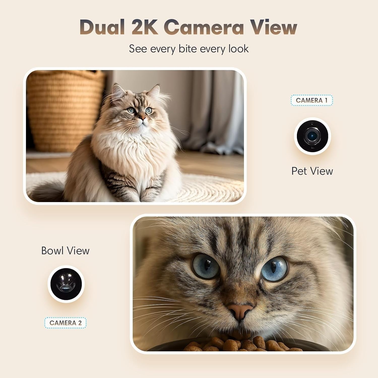 Smart Cat Feeder Dual Camera AI Detection WiFi App Control 6L Auto