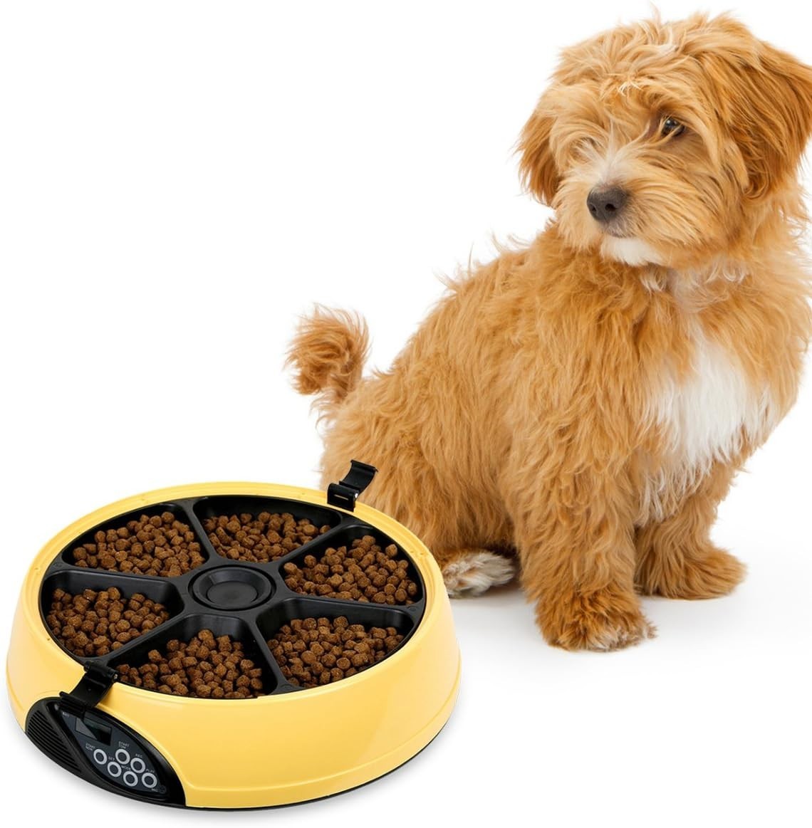 Automatic Cat Feeder 6 Meal Programmable Pet Food Dispenser Voice Recorder