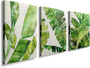 Green Fern Wall Art Set of 3 Framed Canvas 12x16in