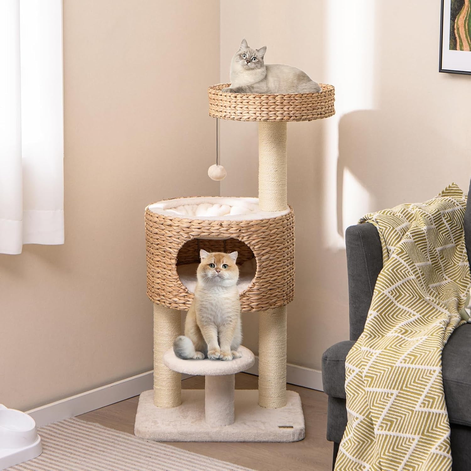 Modern Cat Tree Tower With Wicker Condo Top Perch Scratching Posts Indoor