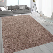 Extra Large Shaggy Rug 160x230cm 5cm Thick Soft High Pile Dark Beige Carpet