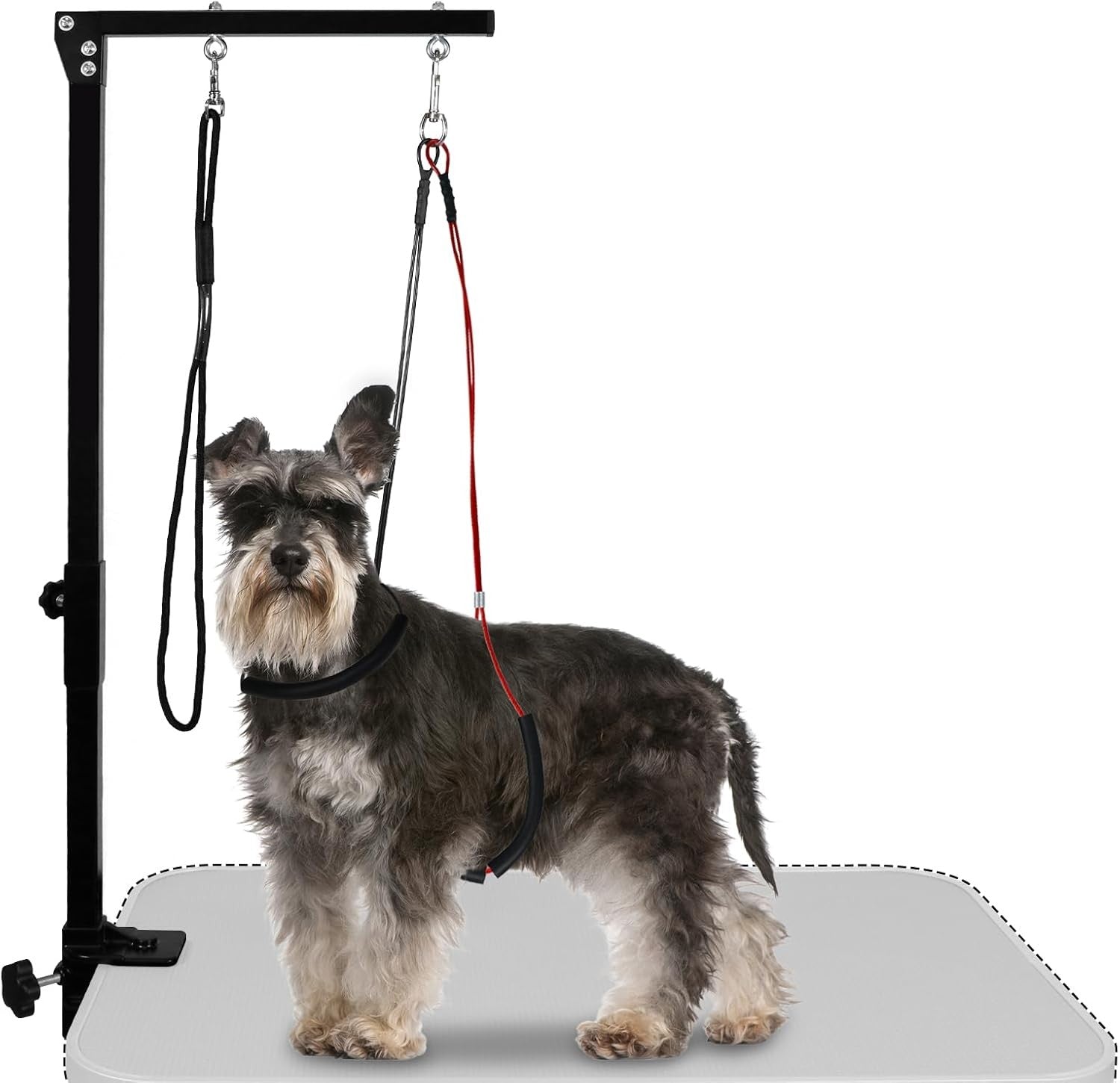 Dog Grooming Arm Clamp Adjustable Loop Noose Nail Trimming Small Pets