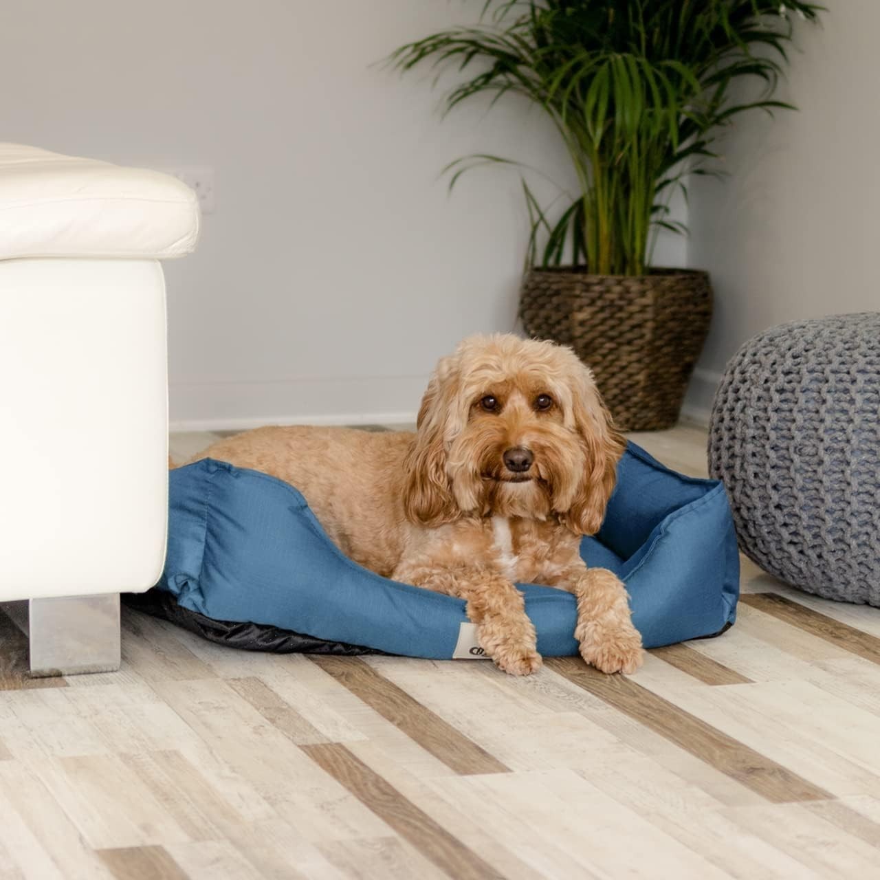 Waterproof Medium Dog Bed 75x58cm Washable Basket Blue