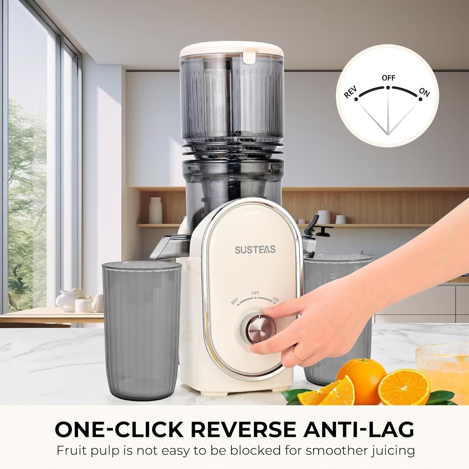 Cold Press Juicer 300W 133mm Wide Feed Chute Whole Fruit High Yield