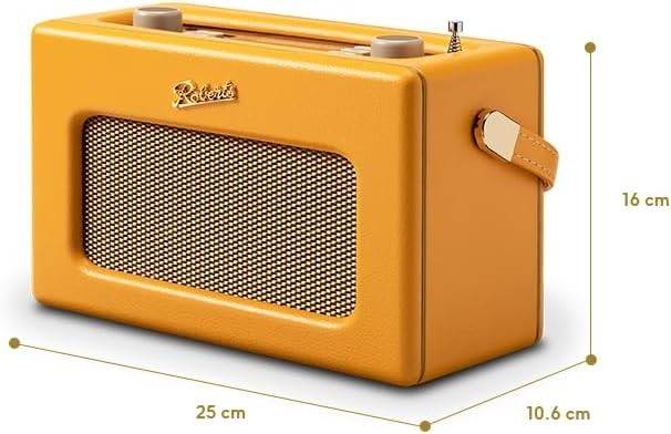 Portable FM/DAB/DAB+ Internet Radio with Bluetooth & Wi-Fi Sunburst yellow