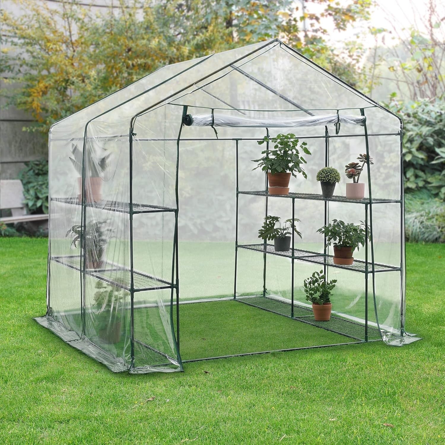 Large Walk-In Greenhouse with Shelves | Heavy Duty PVC Cover | Steel Frame