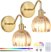 Rechargeable Battery Wall Lights 15 Colors Remote Amber Glass 2-Pack