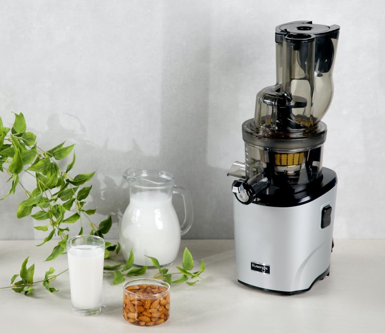 Cold Press Slow Juicer Auto Cutting Wide Feed Chute BPA Free Quiet