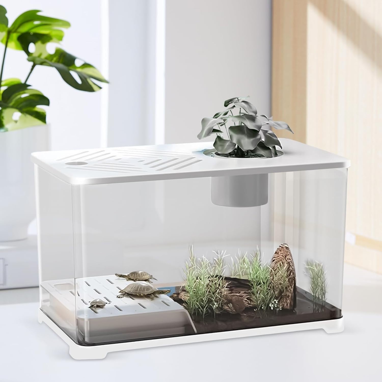 10G Fish Tank Kit | Large Aquarium w/ Turtle Resting Area & Plants
