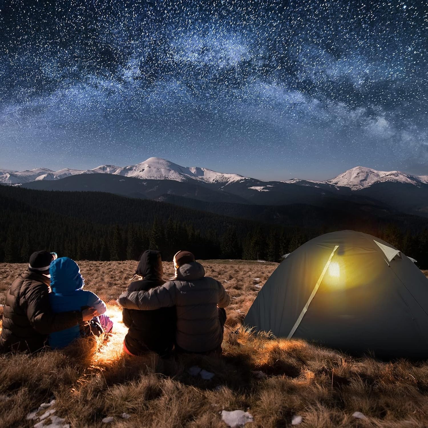 2 Person Ultralight Camping Tent Waterproof 3-4 Season Grey