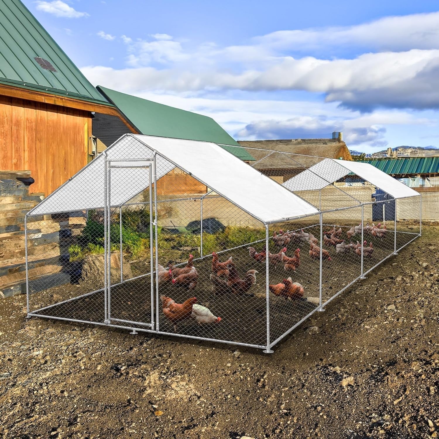 Walk In Chicken Run 8x4x2m Galvanised Steel Coop Pen