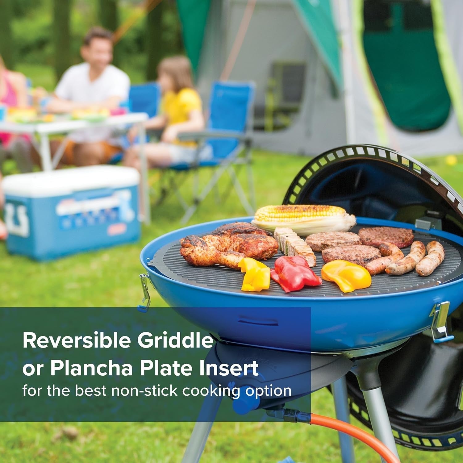Portable Gas Party Grill 600 Outdoor Camping BBQ Stove Cooker Multi-Use Blue