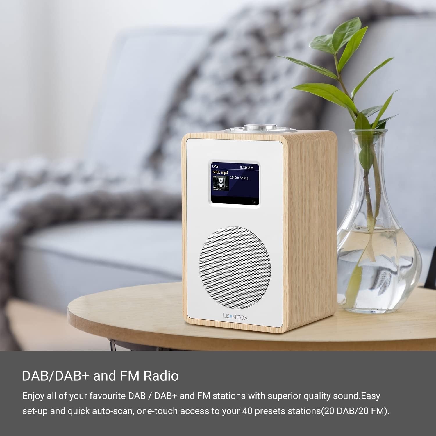 DAB DAB+ FM Radio Bluetooth Dual Alarm Wooden Effect Colour Display