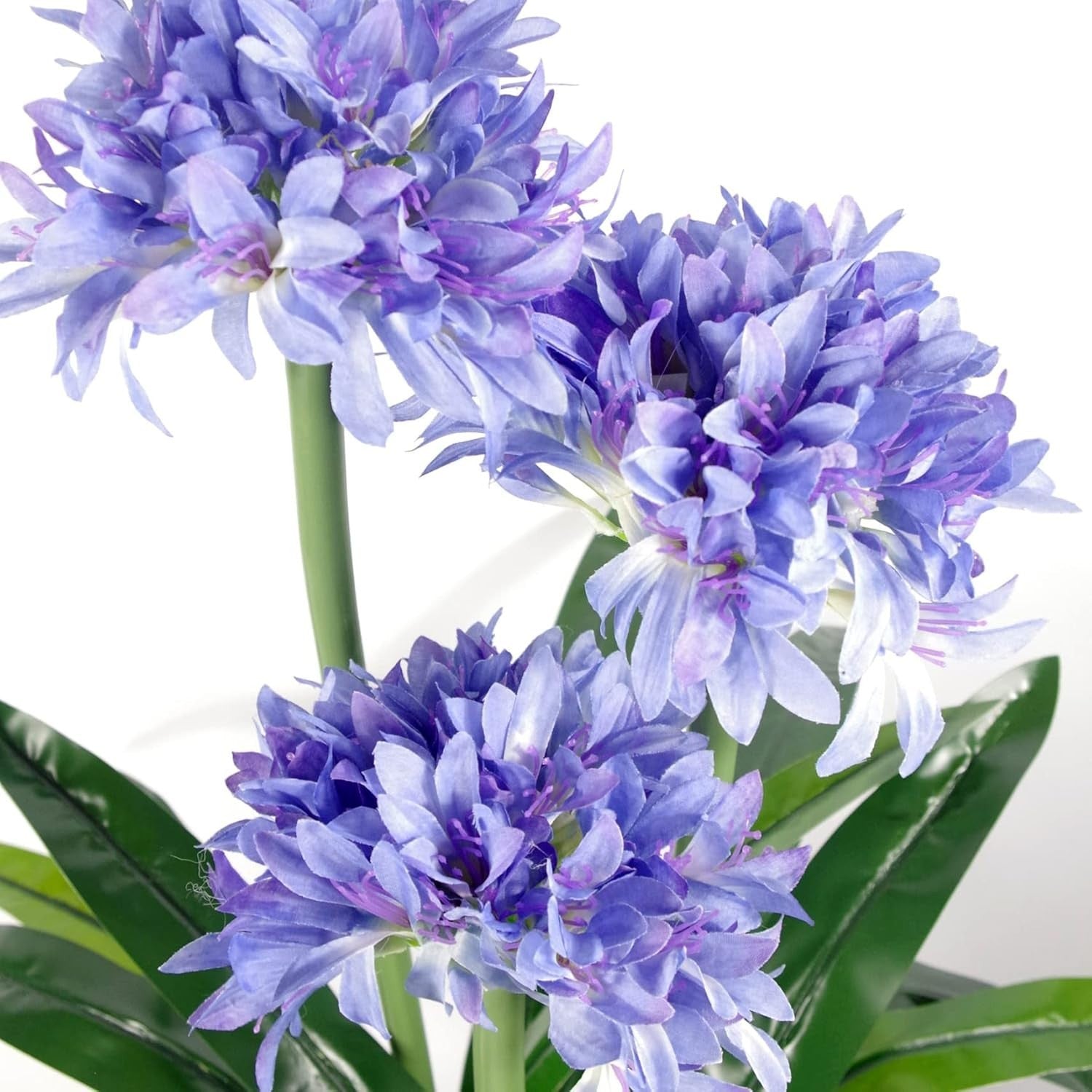 90cm Artificial Agapanthus Flower Blue Plant in Weighted Nursery Pot Decoration