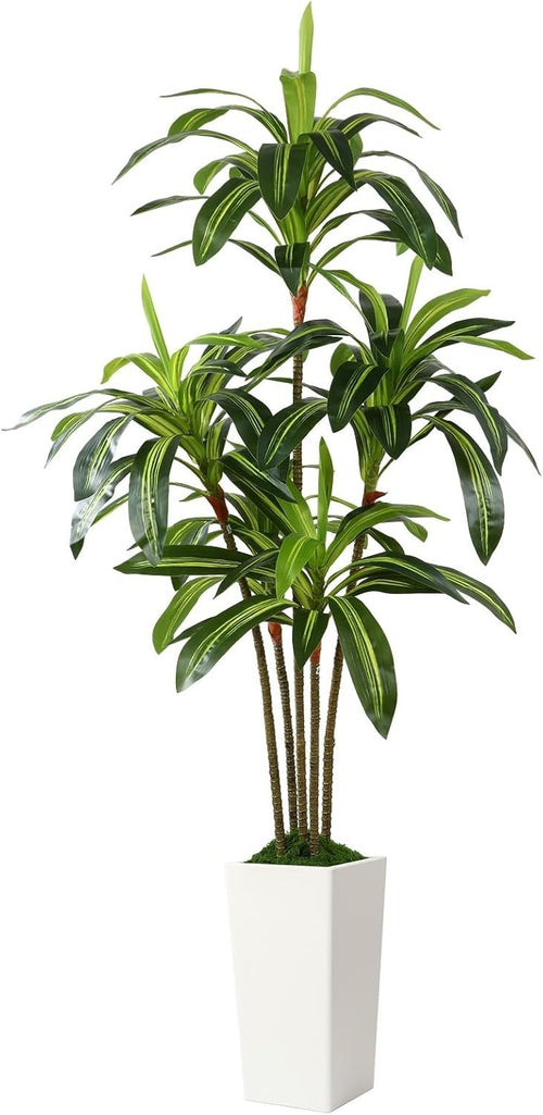 6FT Artificial Dracaena Tree with Tall White Pot Faux Indoor Outdoor Home Decor