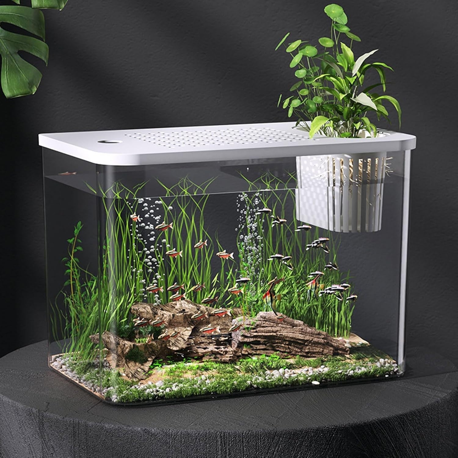 Small Desktop Fish Tank Aquarium Bowl with Lid Clear Plastic Betta Bowl