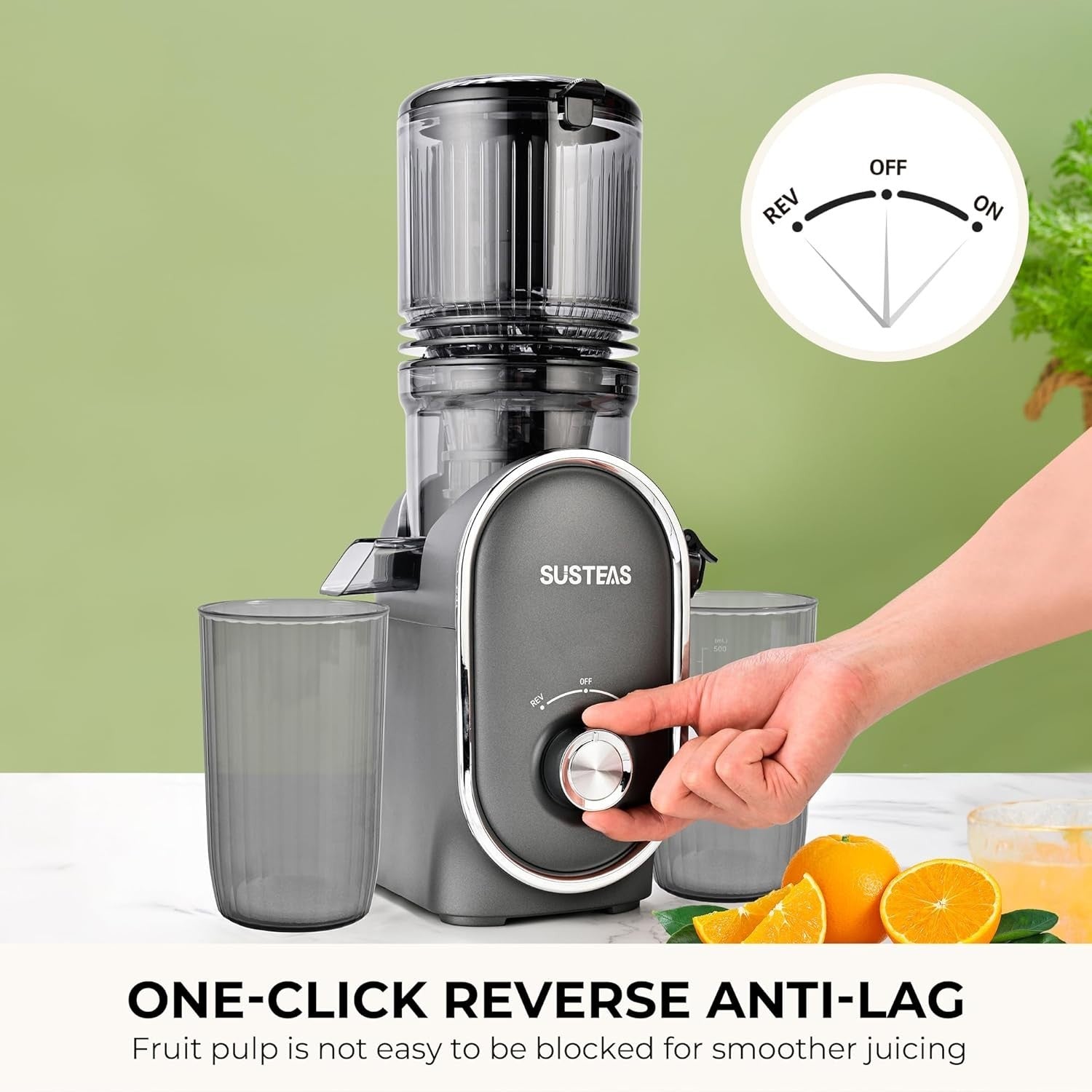 Slow Cold Press Juicer 300W 5.3in Feed Chute Whole Fruit High Yield