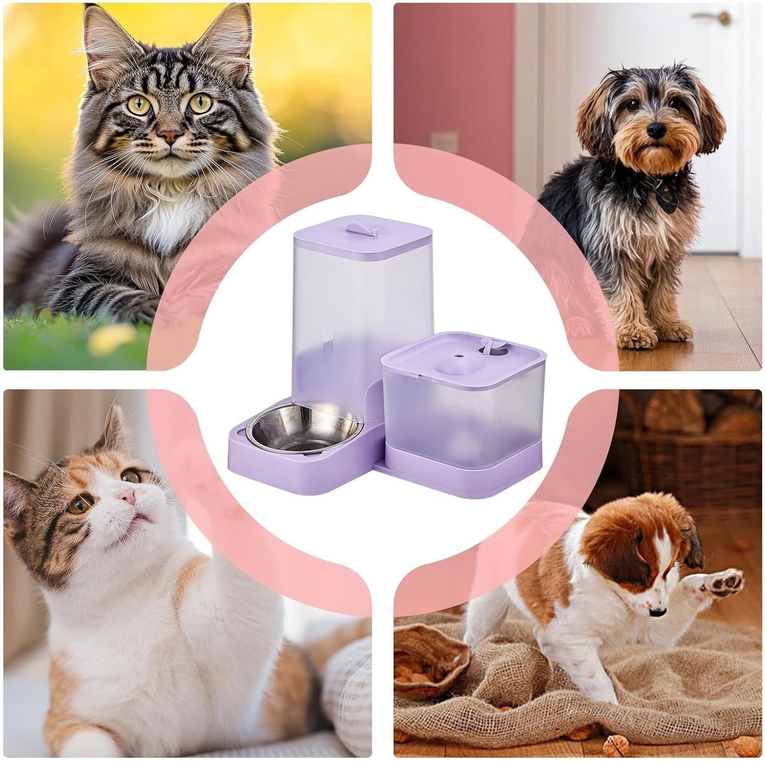 2 in 1 Automatic Cat Feeder Water Fountain 3L Food 2L Tank USB Purple