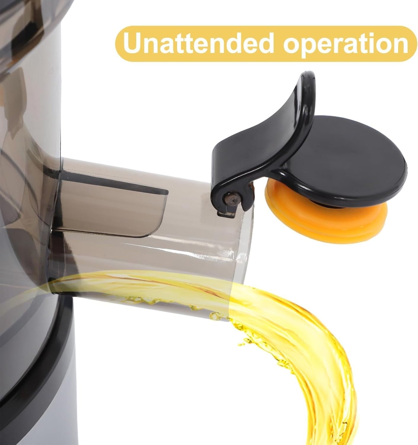 Silver Cold Press Slow Juicer Wide Feed Chute Auto Pulp Ejection