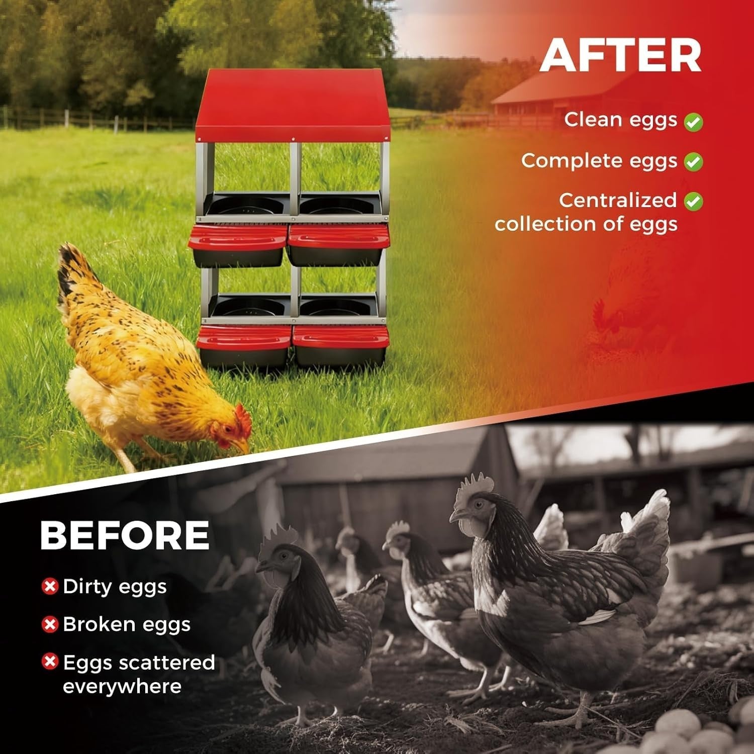 4 Chamber Galvanised Steel Chicken Nesting Box Pull Out Tray