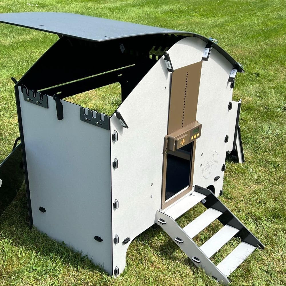 Medium Plastic Chicken Coop House Waterproof 6 Hens