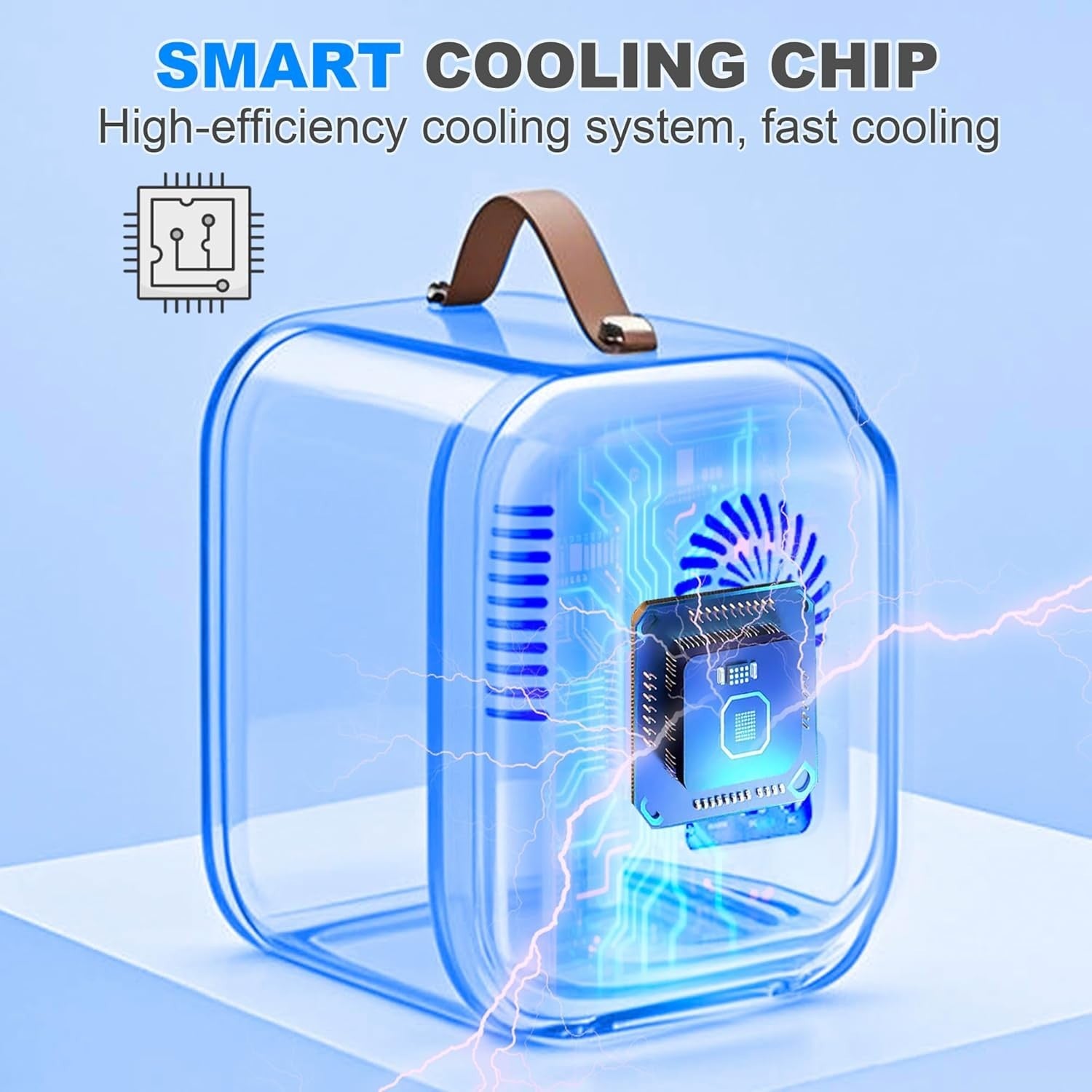 4L Mini Fridge Cooler & Warmer Portable AC 12V Compact Black