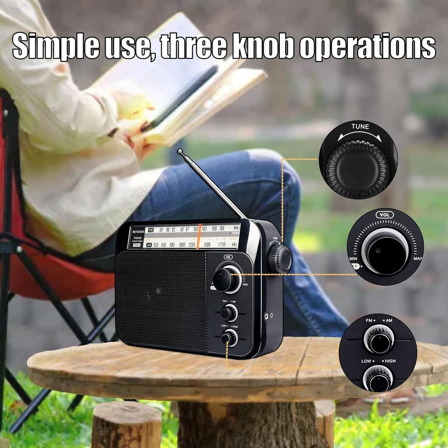 Portable AM FM Radio Battery & Mains Large Speaker