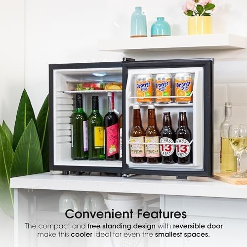 25L Mini Fridge Thermoelectric Quiet Portable for Bedroom Home Black