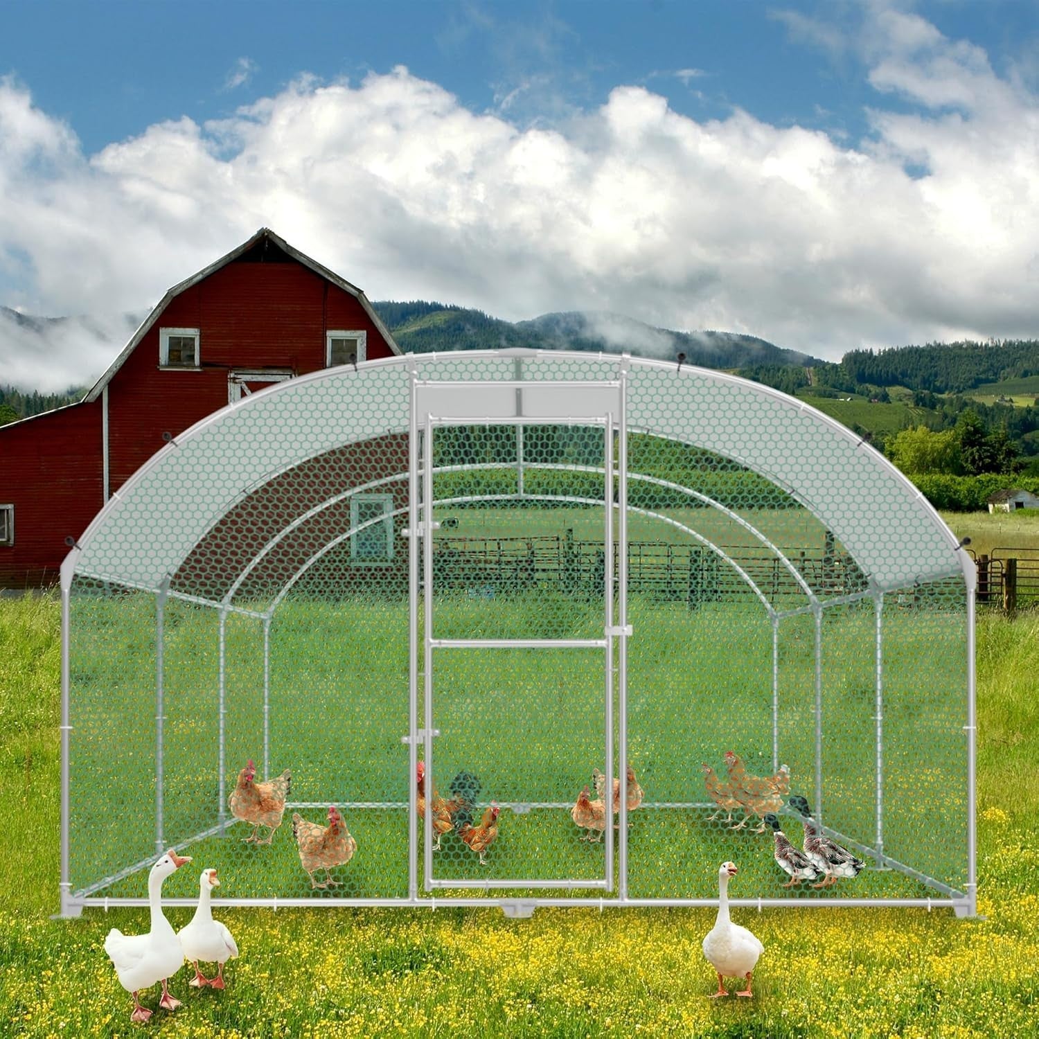 Extra Long Walk In Chicken Run Galvanised Steel Outdoor Enclosure 6x3x1.85m