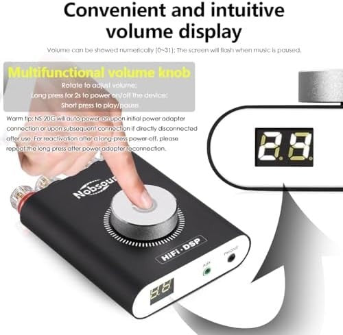NS-20G Mini Bluetooth HiFi Amplifier 2x100W Stereo AUX Headphone Amp