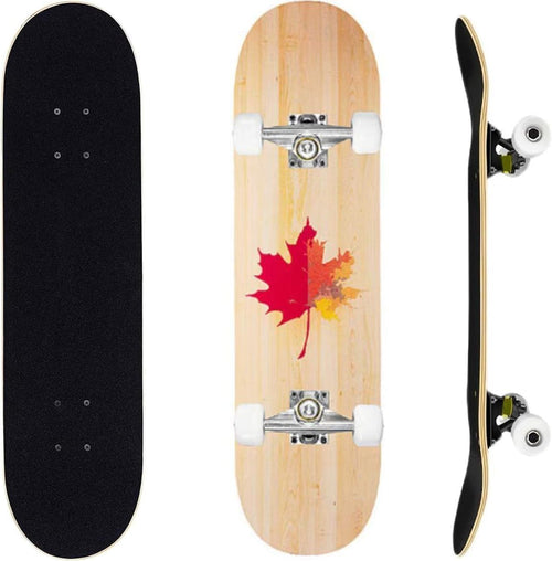 31in Beginner Skateboard Double Kick Maple Deck Kids Adults + Tool