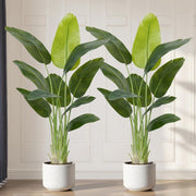 Set of 2 Bird of Paradise Plants 150cm Lifelike Indoor Potted Tropical Banana