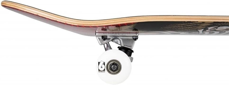 Stage 1 TH Icon 8.00 Complete Skateboard Kids Red Deck
