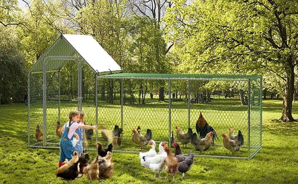 3m Walk In Chicken Run Metal Coop Waterproof UV Cover