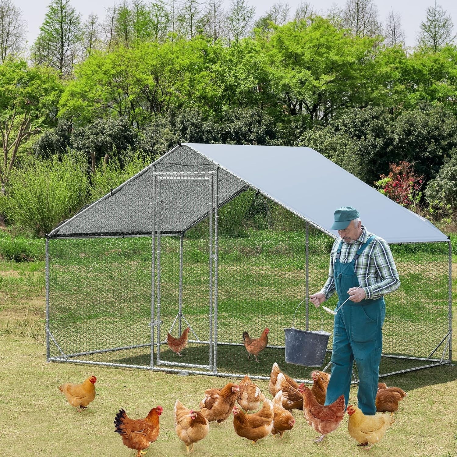 Walk In Chicken Run Galvanised Steel Enclosure Waterproof Roof 3x2m