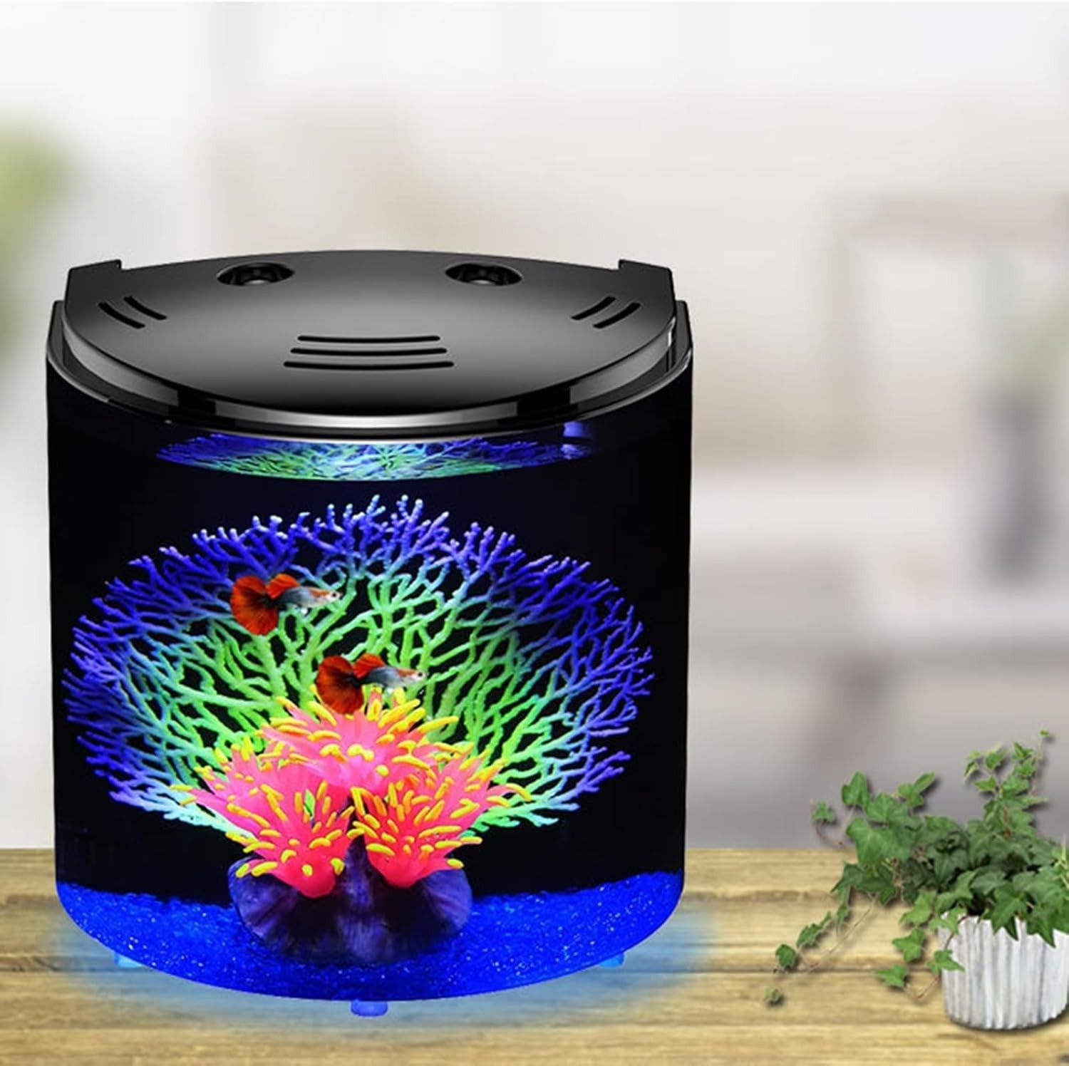 Acrylic Small Fish Tank with Pump | Clear Desktop Aquarium for Snails & Crabs