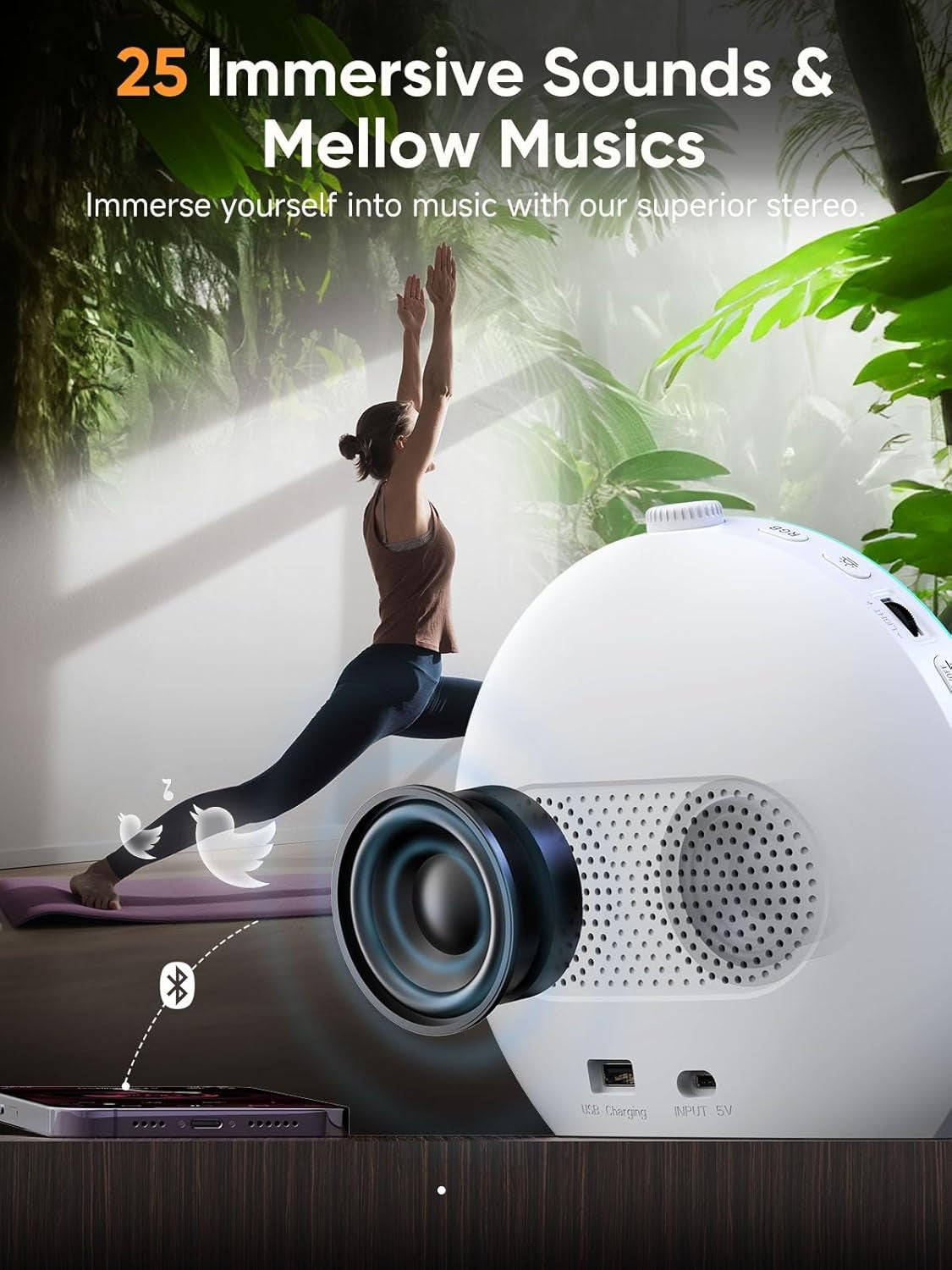 Sunrise Wake Up Light Alarm Clock White Noise Night Lamp Dual Alarm