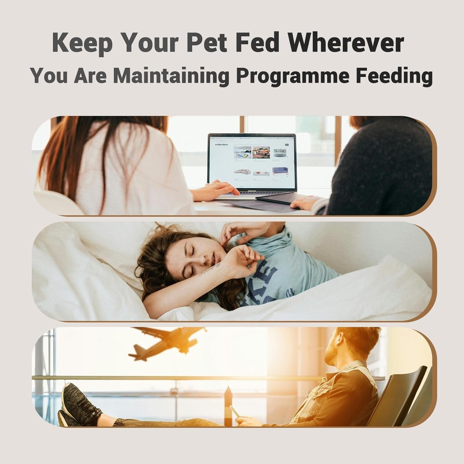 Dual Bowl Automatic Pet Feeder 4L Timed Food Dispenser for 2 Cats
