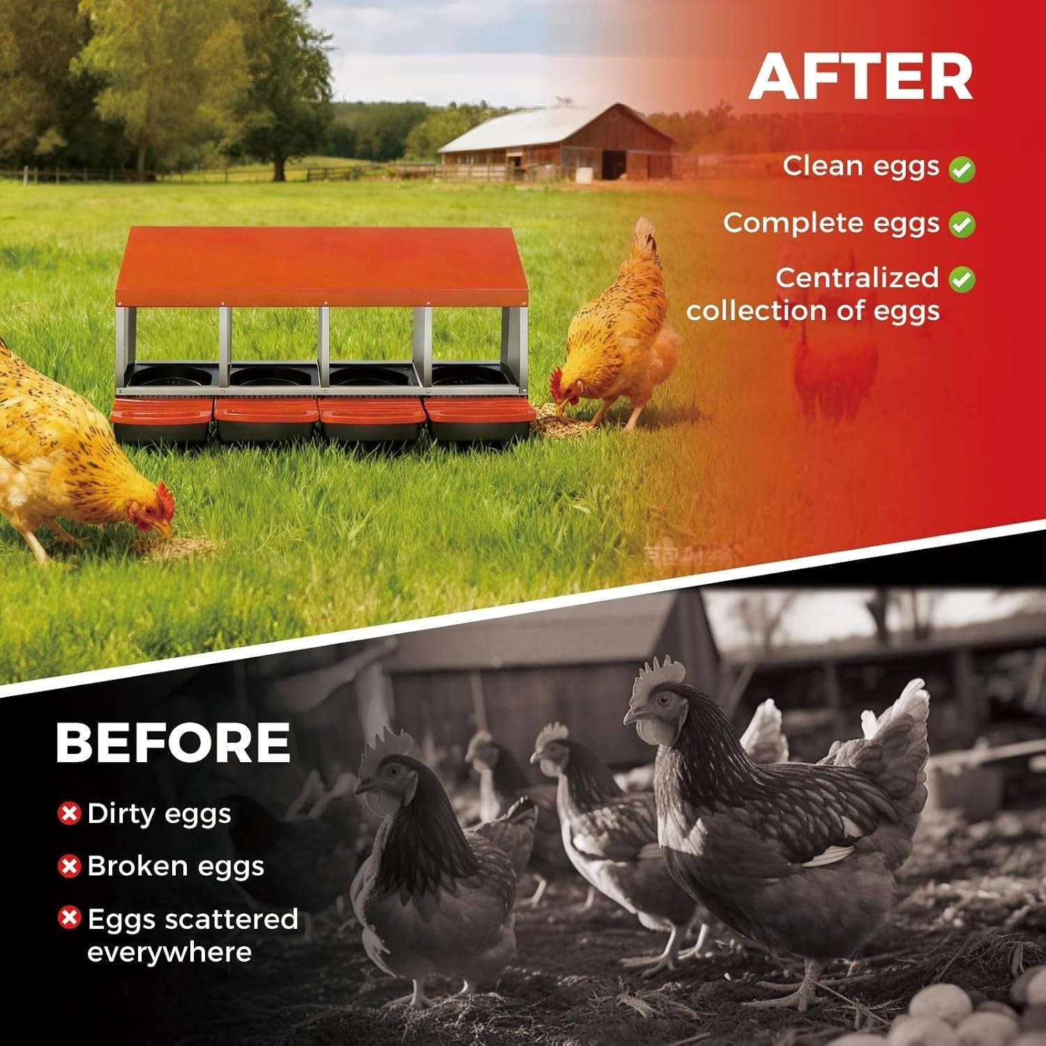4 Chamber Galvanised Steel Chicken Nest Box Pull-Out Tray