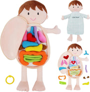 Human Anatomy Plush Doll 45cm Educational Soft Toy Removable Organs