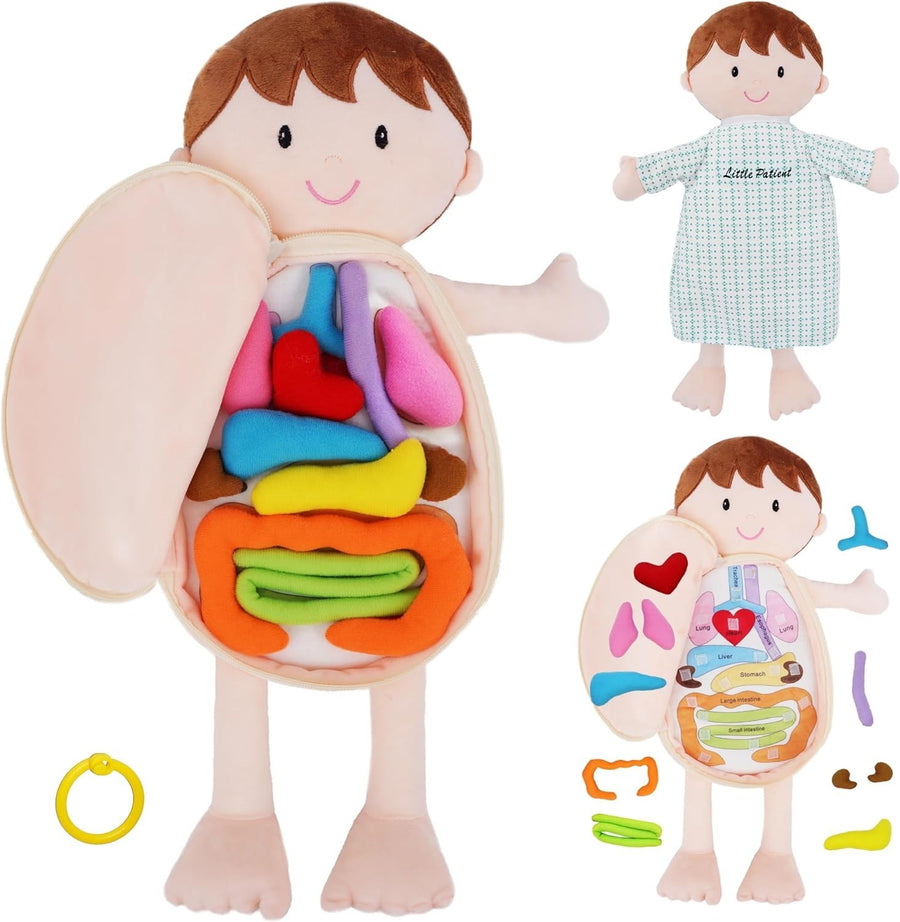 Human Anatomy Plush Doll 45cm Educational Soft Toy Removable Organs
