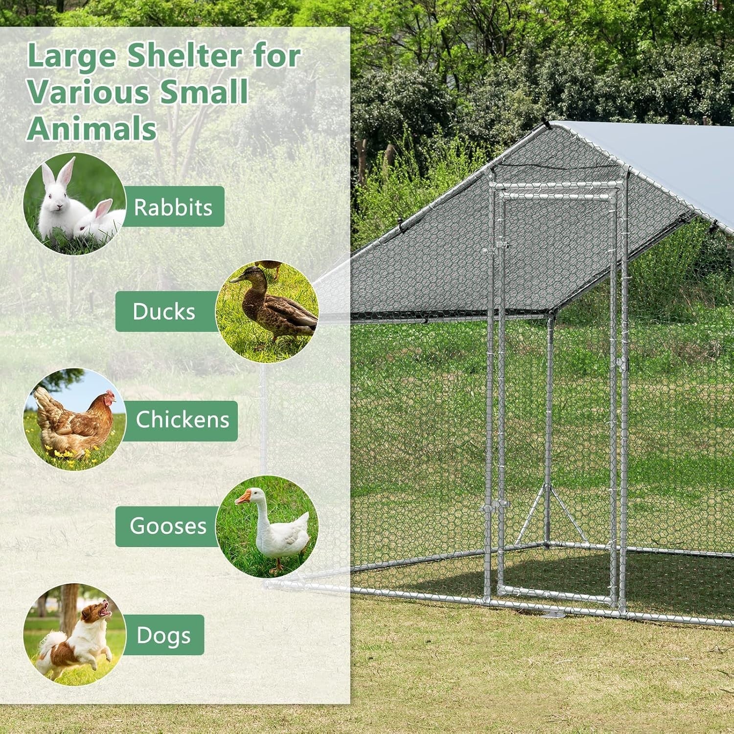 Walk In Chicken Run Galvanised Steel Enclosure Waterproof Roof 3x2m