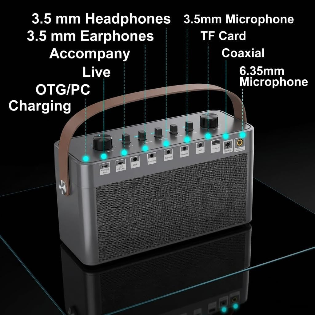 MT-VIKI Portable Bluetooth Karaoke Speaker with 2 Wireless Mics LED