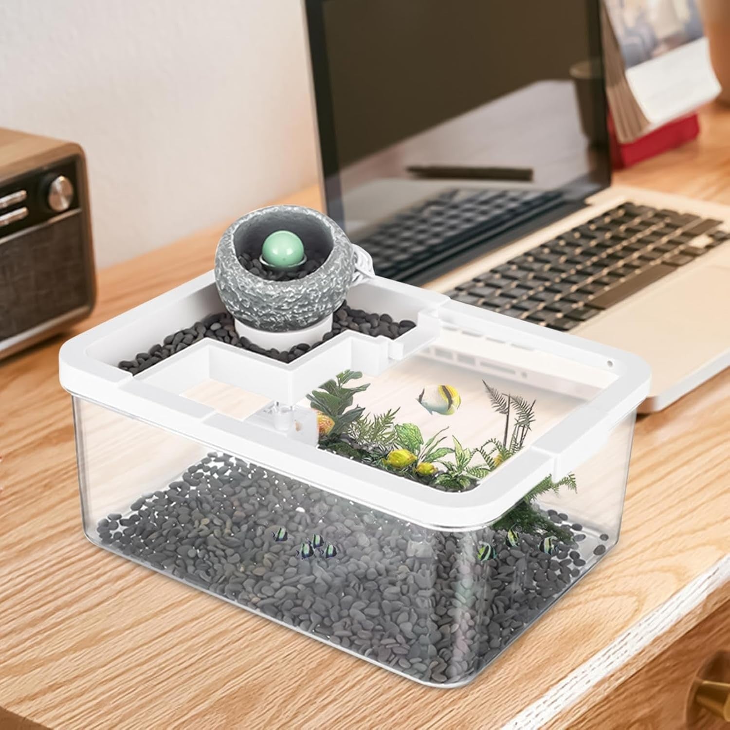 Small Desktop Fish Tank Kit | Filtered Aquarium w/ USB Light & Pump