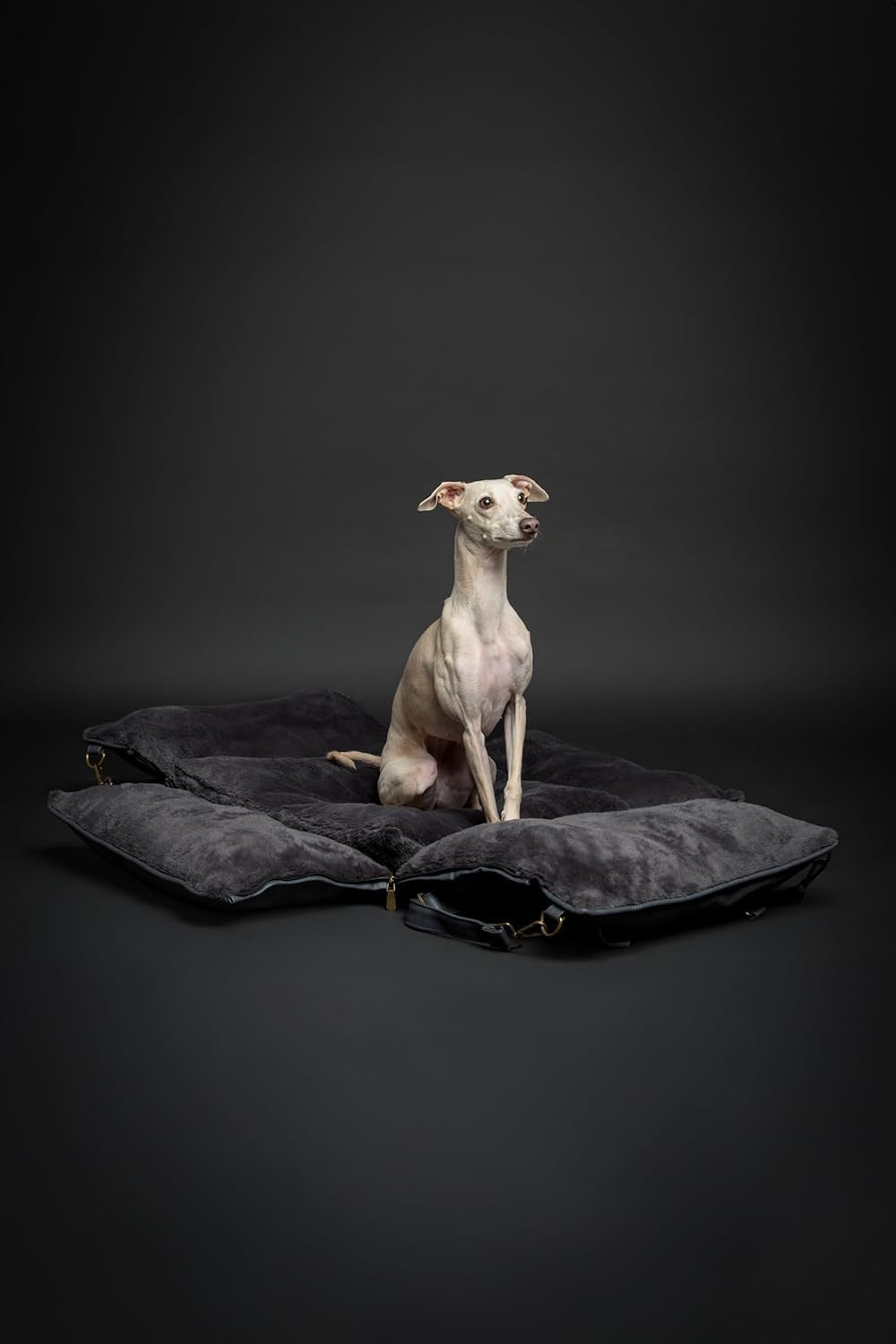 Luxury Dog Booster Car Seat Orthopedic Foam Washable Travel Bed Charcoal