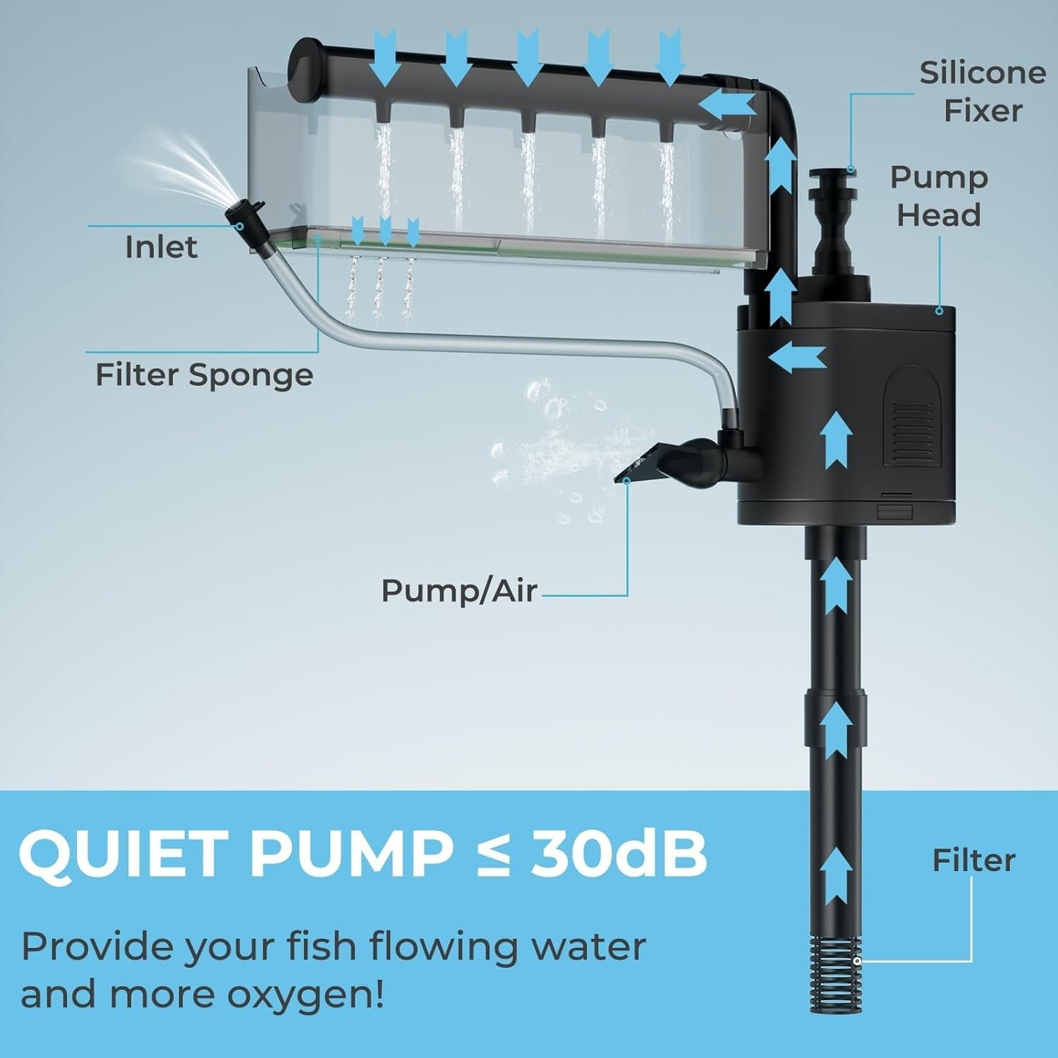 9L Glass Fish Tank with Filter, LED Light & Water Pump – Mini Aquarium