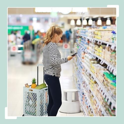 Collapsible Shopping Trolley with Wheels 25kg Load Folding Cart Handle