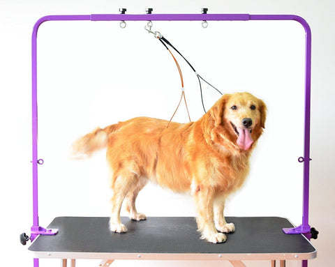 Overhead Dog Grooming Arm with Harness Adjustable Clamp Fits Grooming Tables
