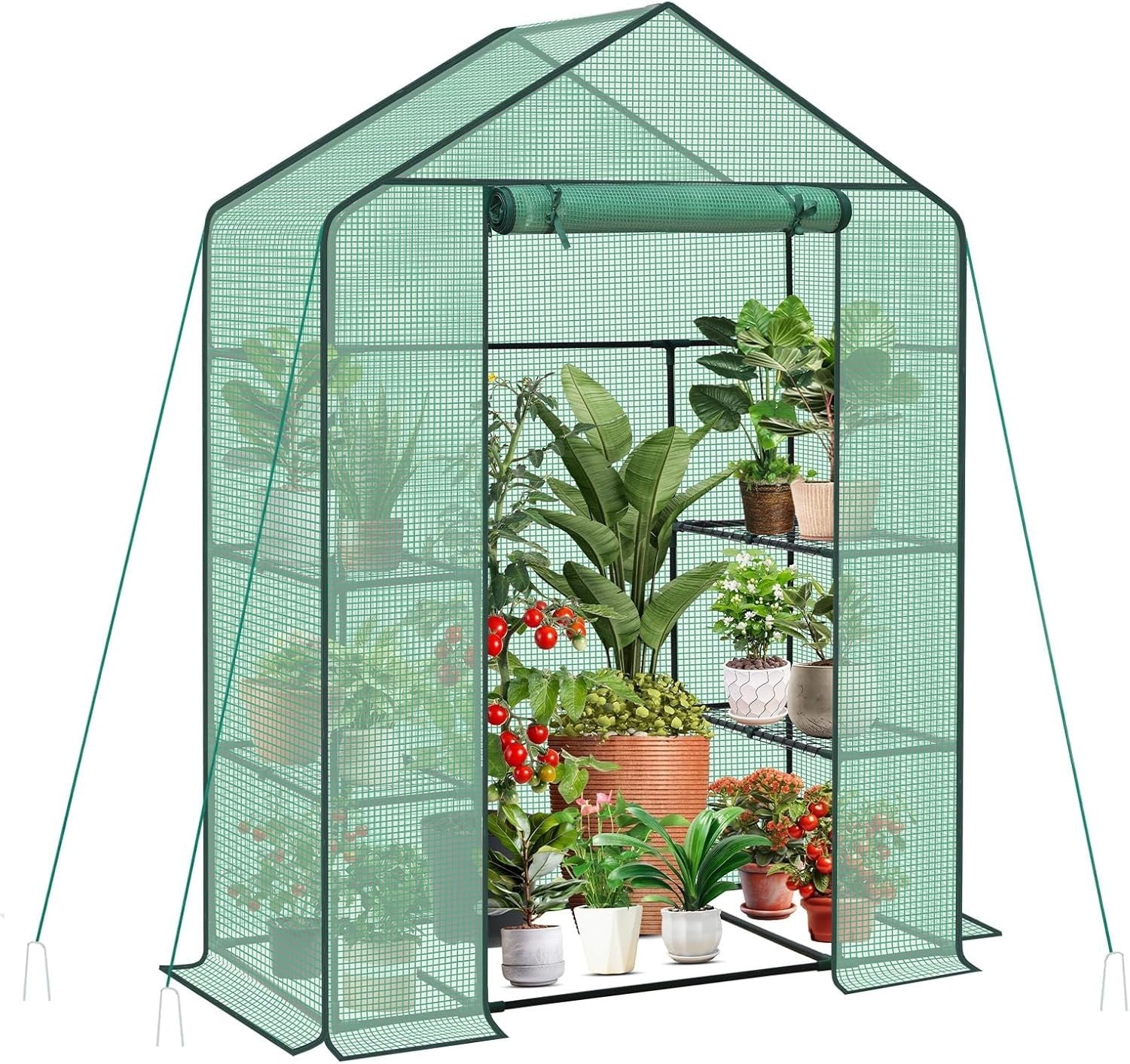 Walk-In Greenhouse with Shelves | Waterproof PE Cover | Heavy Aluminium Frame
